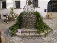 6fa3c904-Picture 3415.jpg
